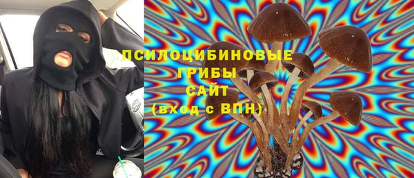 тгк Карпинск