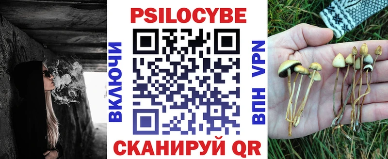 Галлюциногенные грибы Psilocybine cubensis  Купить  Дубна 